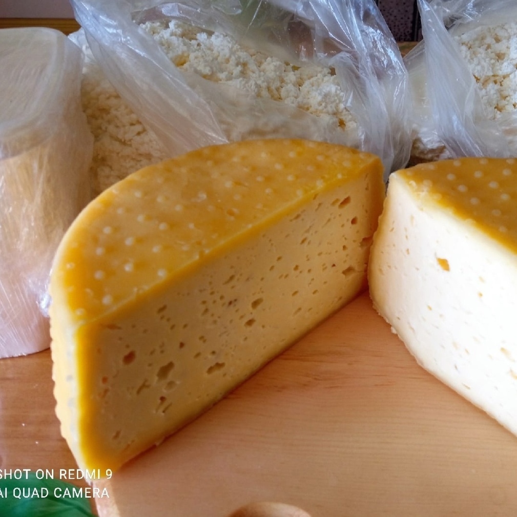 Купить натуральный сыр Болгар